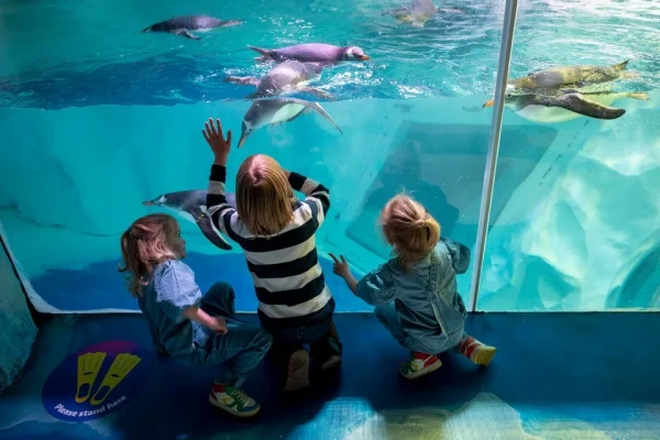 National Sea Life Centre Entrance Ticket