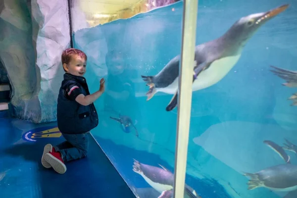 National Sea Life Centre Entrance Ticket