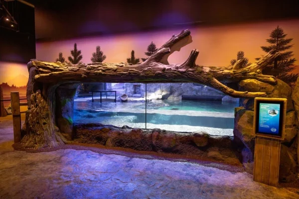 National Sea Life Centre Entrance Ticket