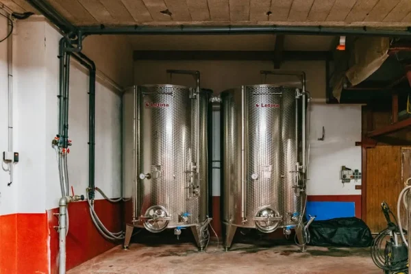 Golden Stones Beaujolais Wine Tasting Tour